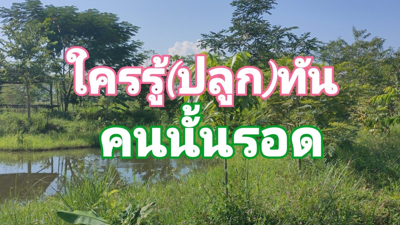 ใครรู้(ปลูก)ทัน คนนั้นรอด ep.29