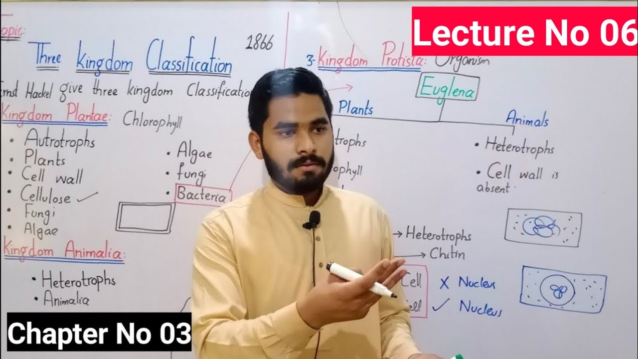 Three Kingdom Classification System Class 9 | Ernst Hackael Classification System | Ch# 03 | Lec# 06