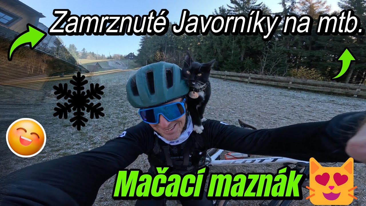 Zamrznutý hrebeň Javorníkov zaliaty slnkom na MTB. Mačacia kamoška a sladká buchta na Kohútke.