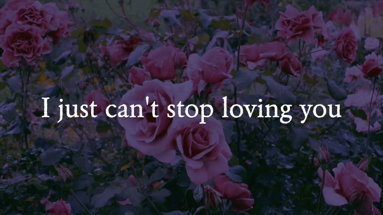 No Matter What I Do - Z Berg *LYRICS*