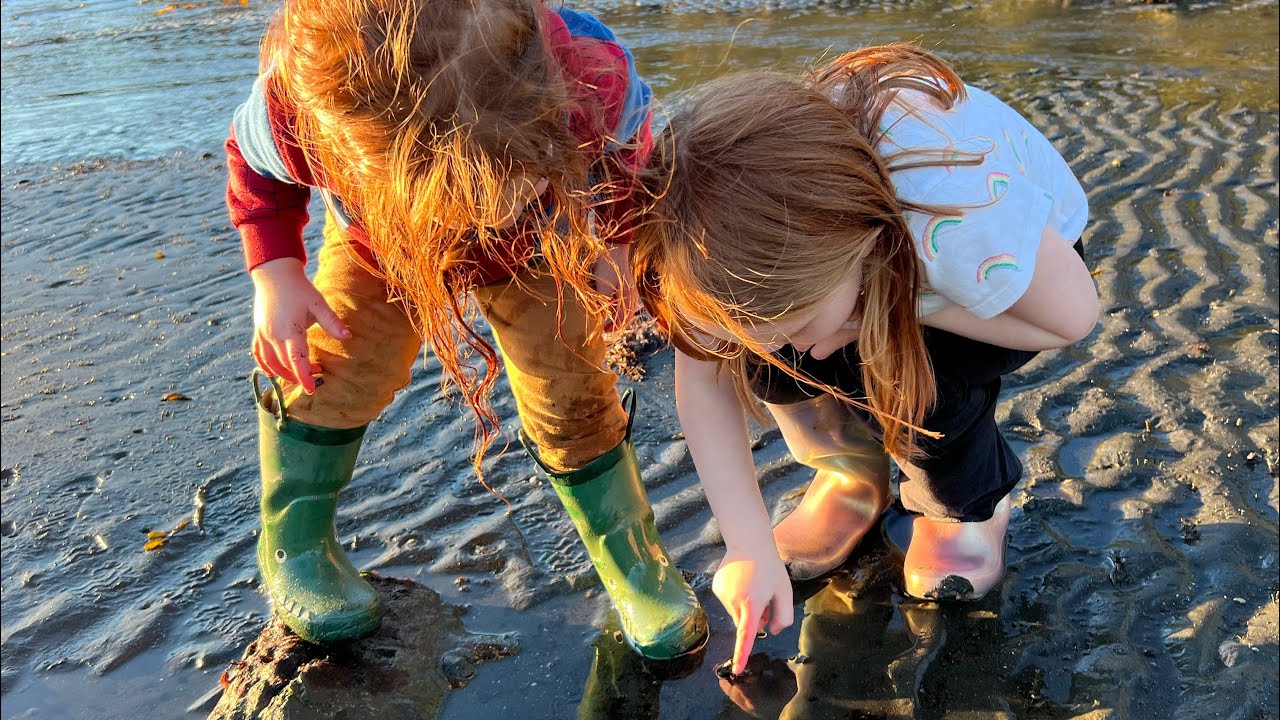 There's a Moose in Our Yard | Tide Pools in Alaska | Getting Ready for Spring