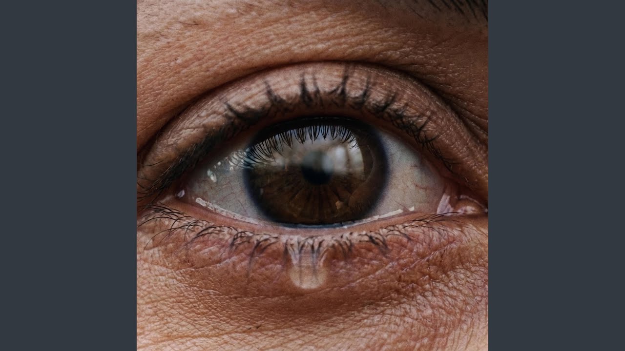 this is what peace sounds like