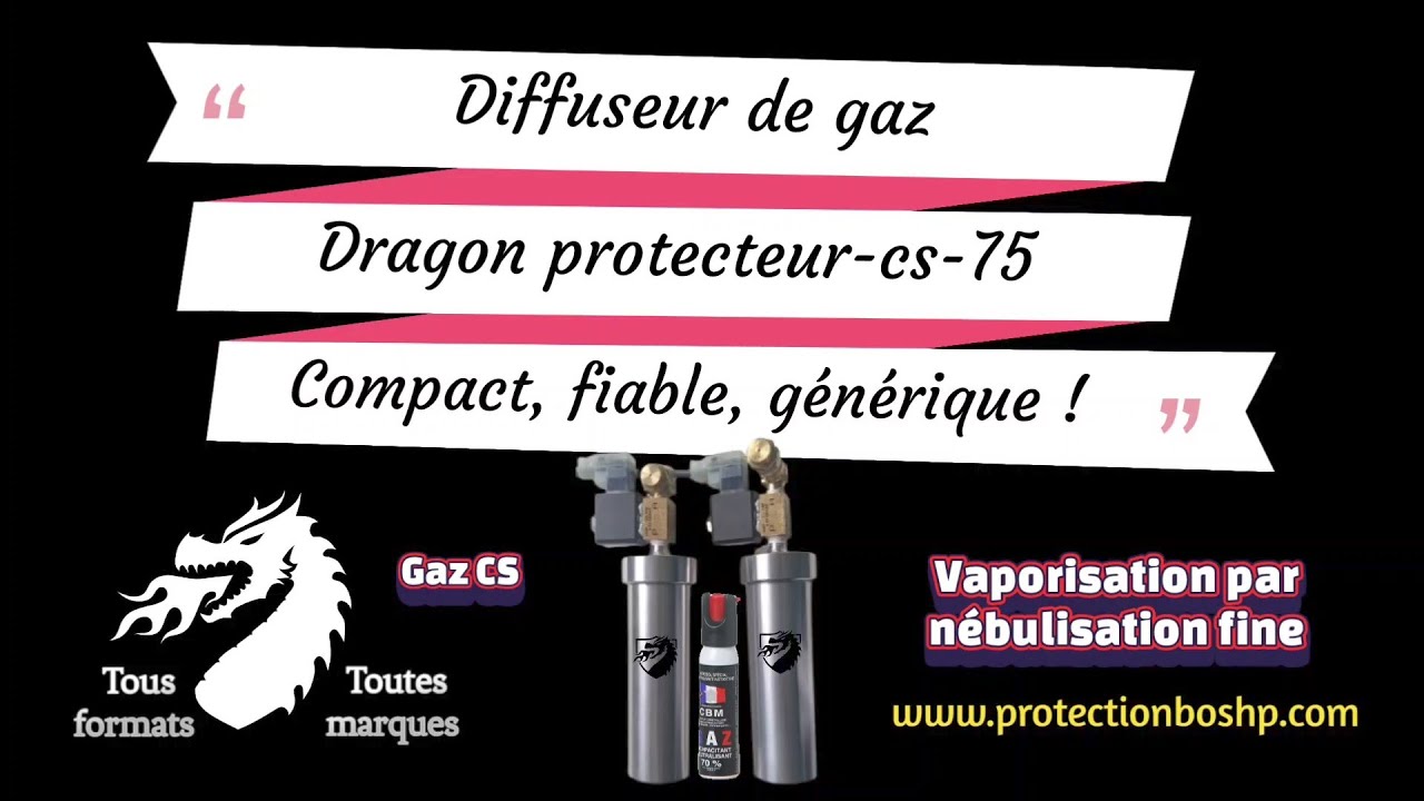 Meilleur sécurité maison et commerce ! Efficacité, prix malin et innovation, Dragon protecteur-cs-75