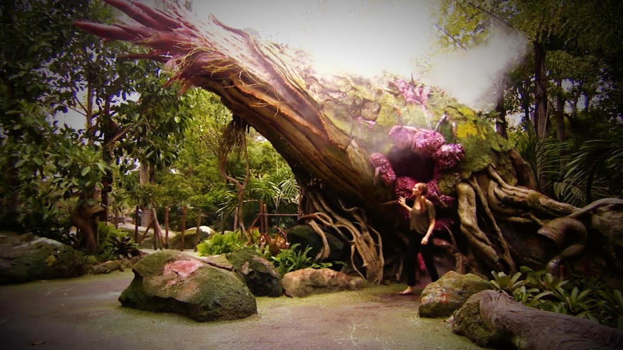 Inside Pandora: The World of Avatar at Disney World