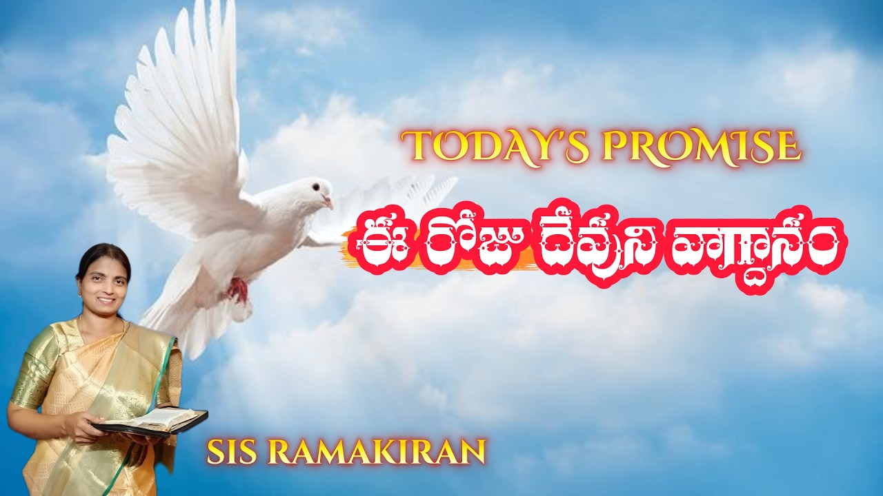 Todays promise_#17.02,2026
