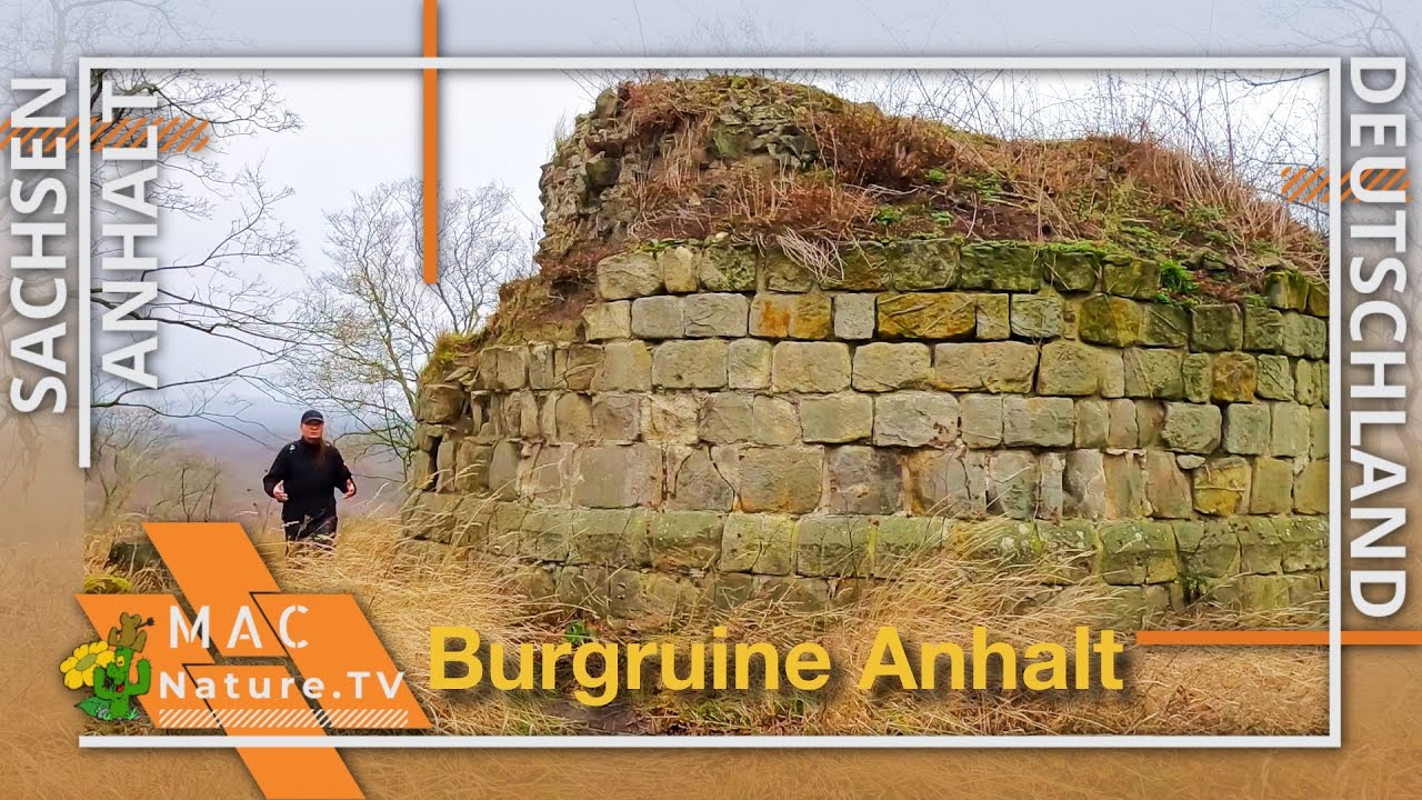 Selketal - Burgruine Anhalt und Alter Falkenstein
