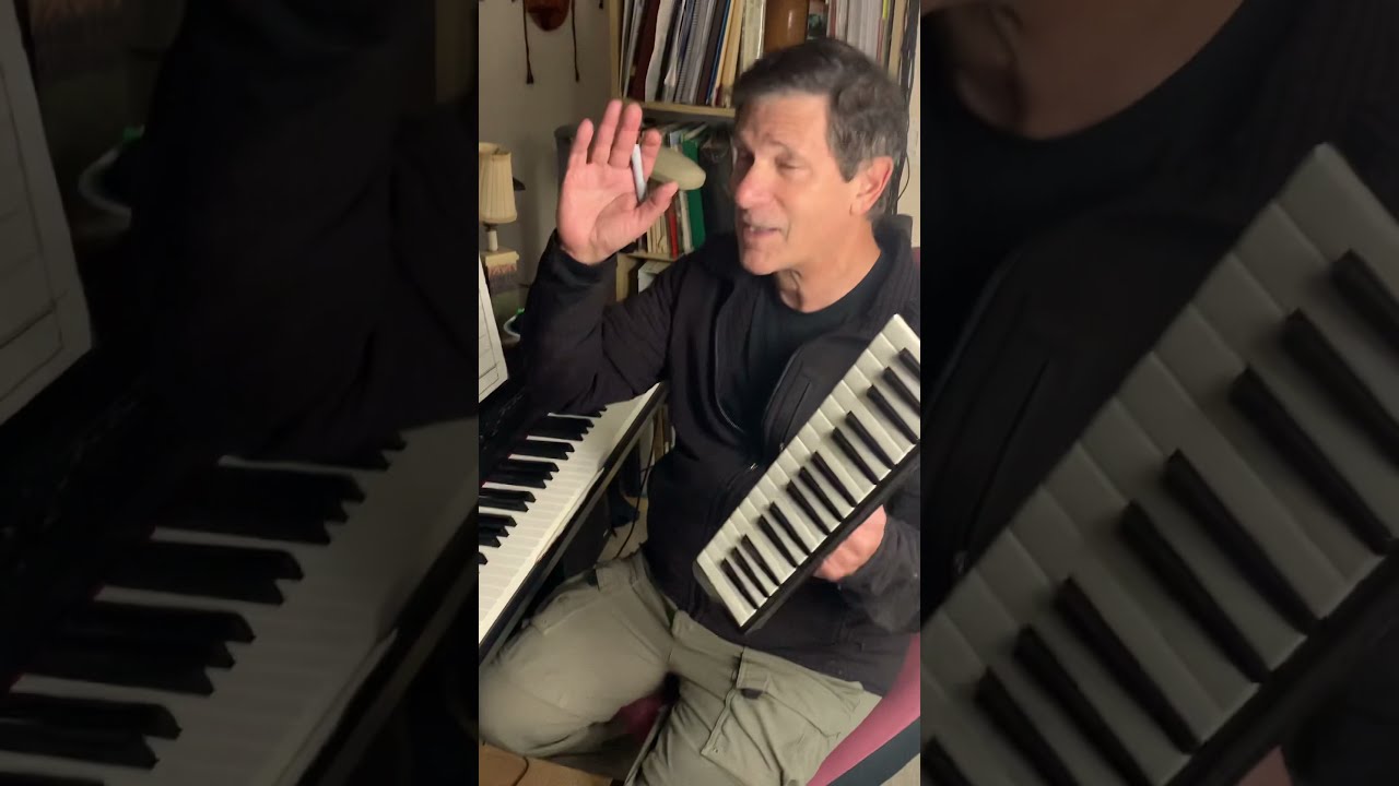 Melodica vs. Chromatic Harmonica - Neil Adler