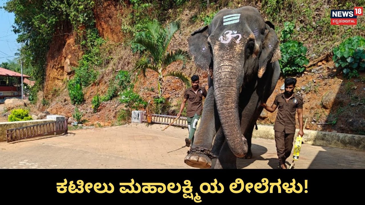 Kateel Elephant: ಕಟೀಲು ಭಕ್ತರಿಗೆ ಬೋನಸ್ ಮಹಾಲಕ್ಷ್ಮಿಯ ಲೀಲೆಗಳು!