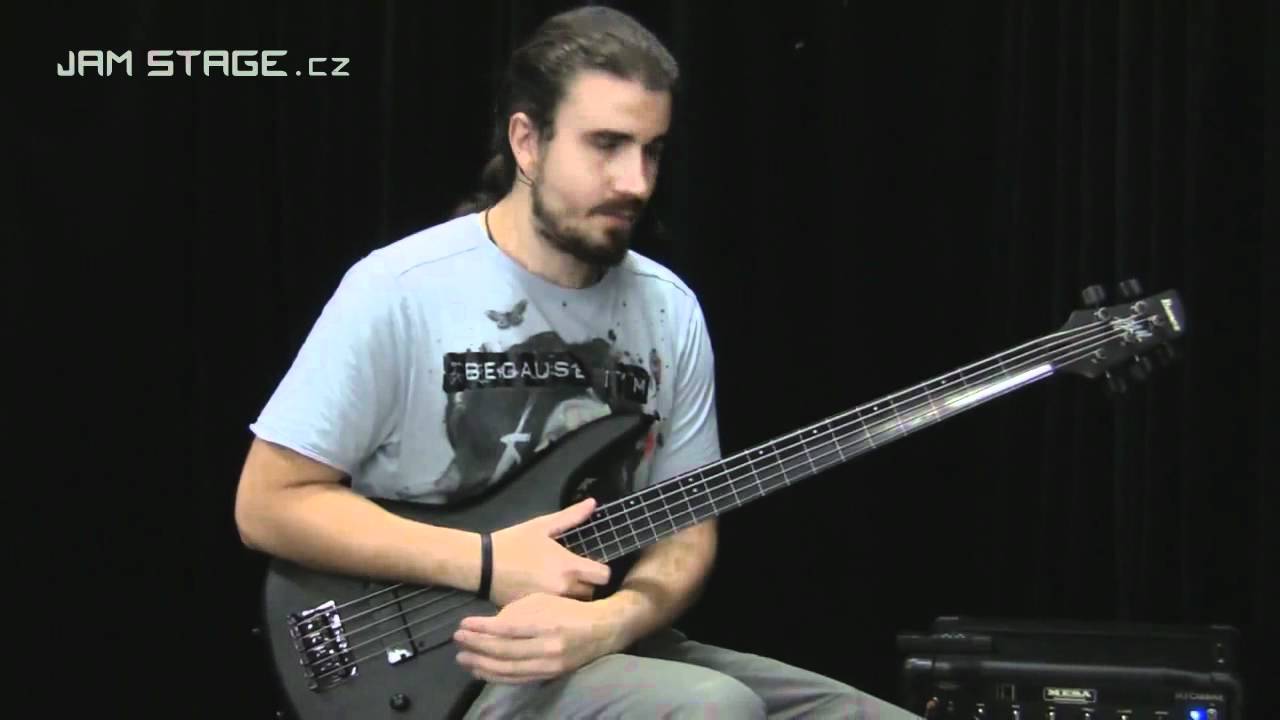IBANEZ GWB 35 Garry Willis Signature (Black Flat)