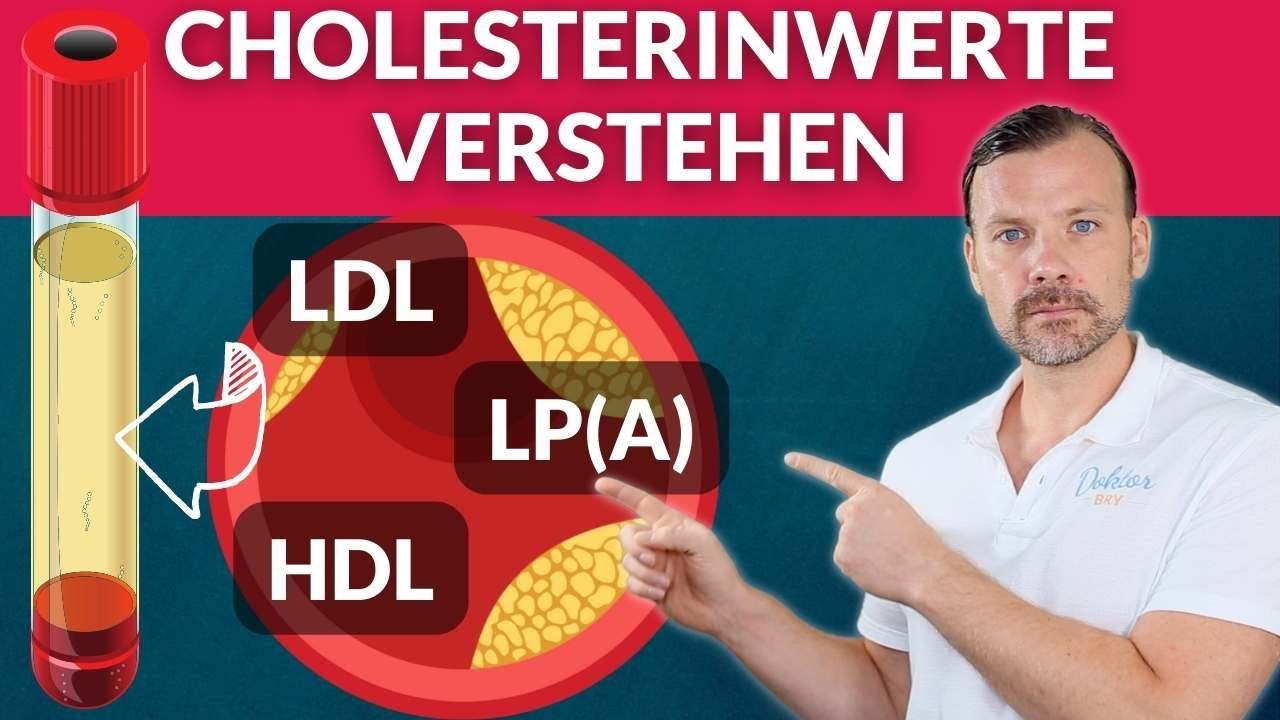 Cholesterin und die Blutgef&auml;&szlig;e - die Zusammenh&auml;nge erkl&auml;rt: LDL,HDL und Lipoprotein A