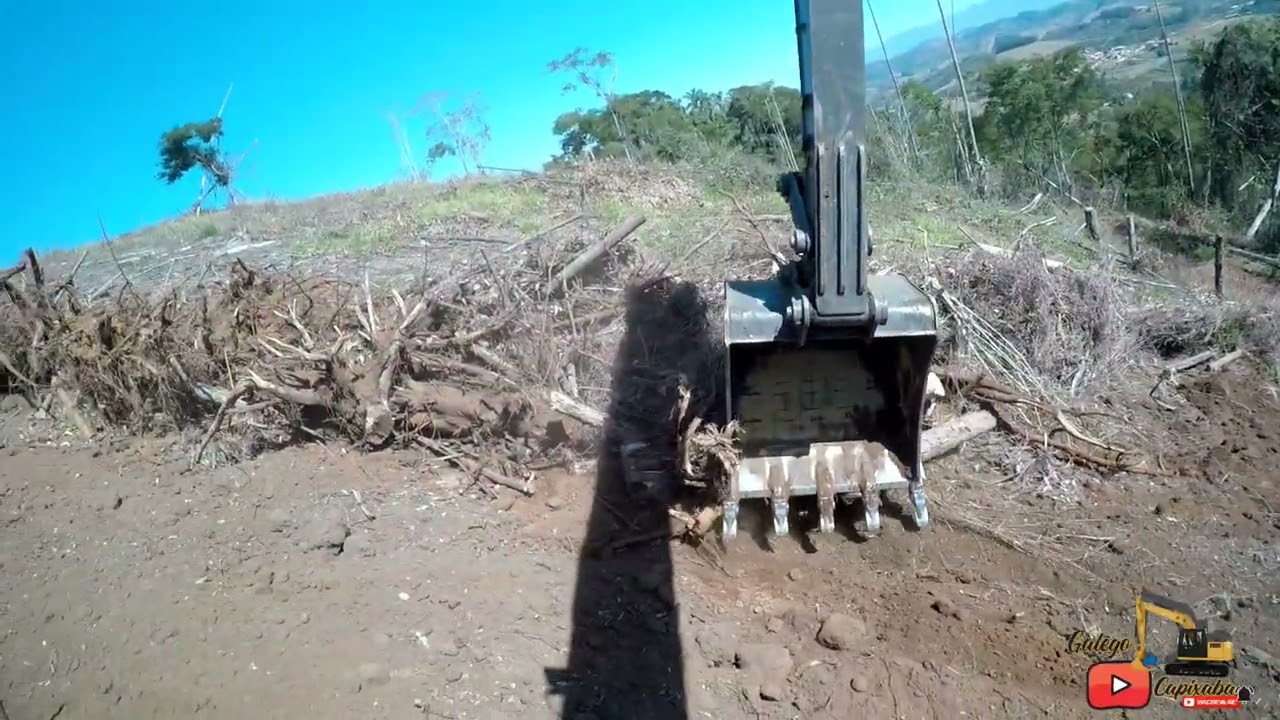 olha altura que estou destocando eucalipto com escavadeira hidráulica VOLVO 140