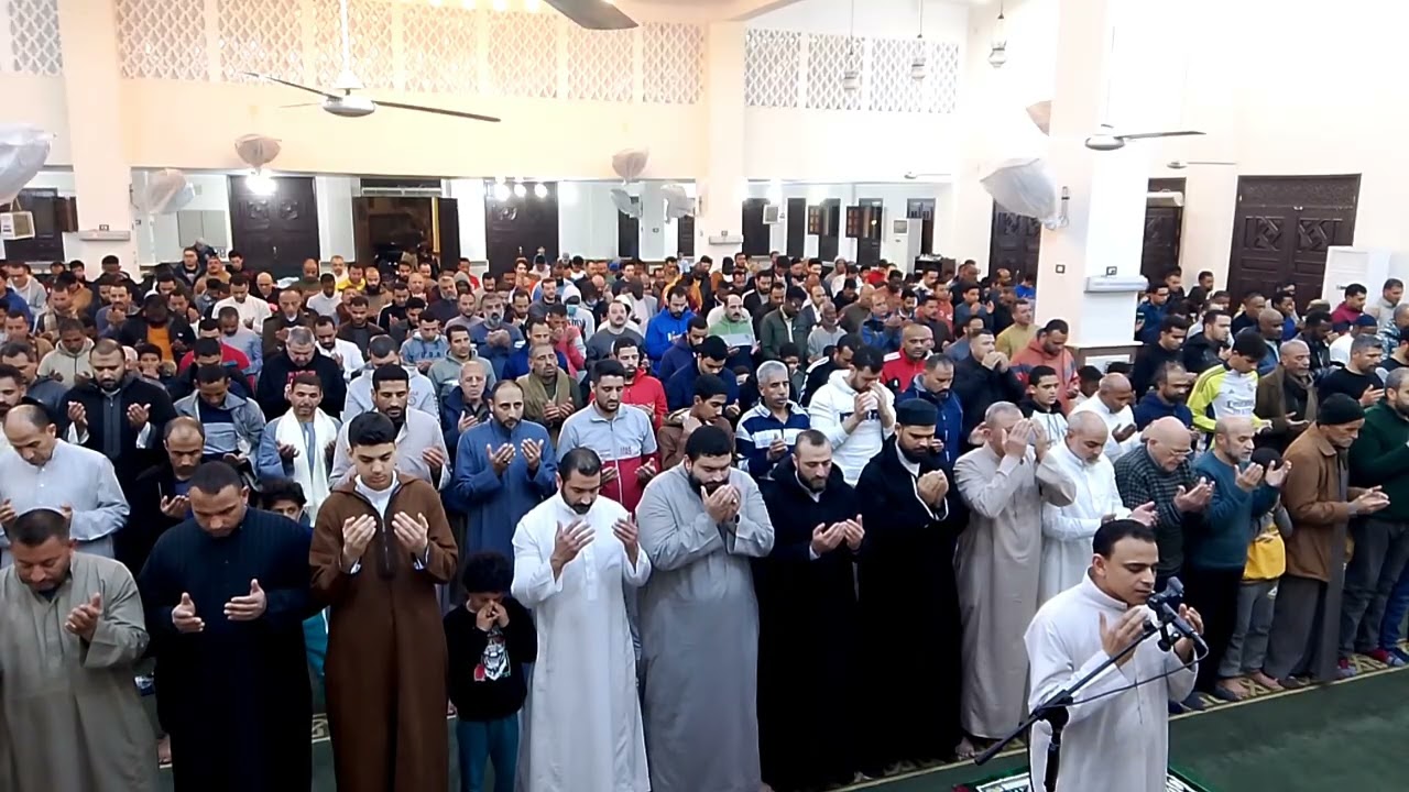 دعاء صلاة التراويح | للشيخ حمدي أحمد | رمضان 1446ه‍