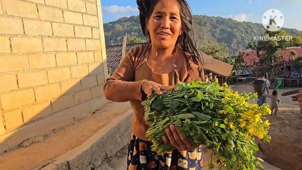 22 2026 tu tej khoom dab vag tsib taug