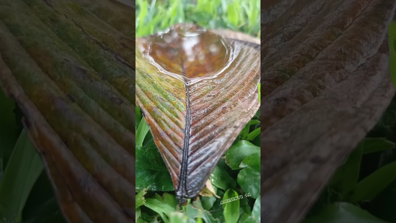 #natural