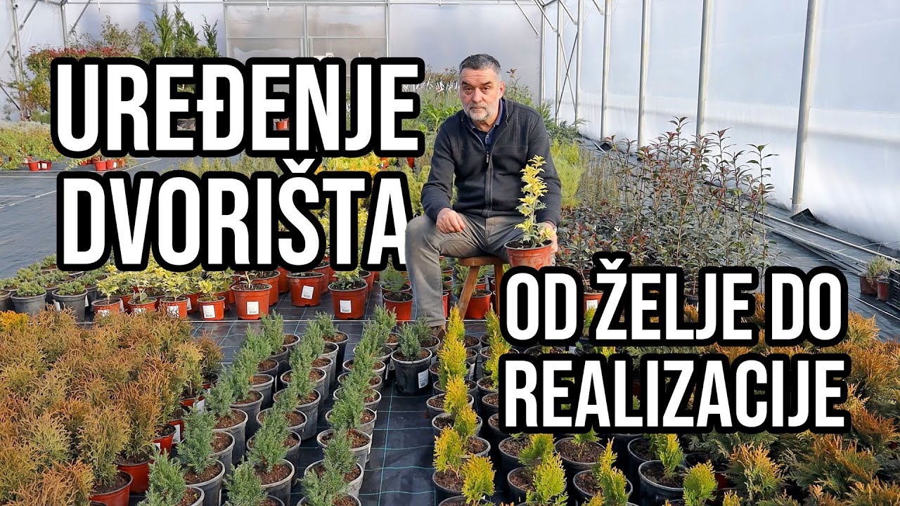 Uređenje dvorišta - od želje do realizacije