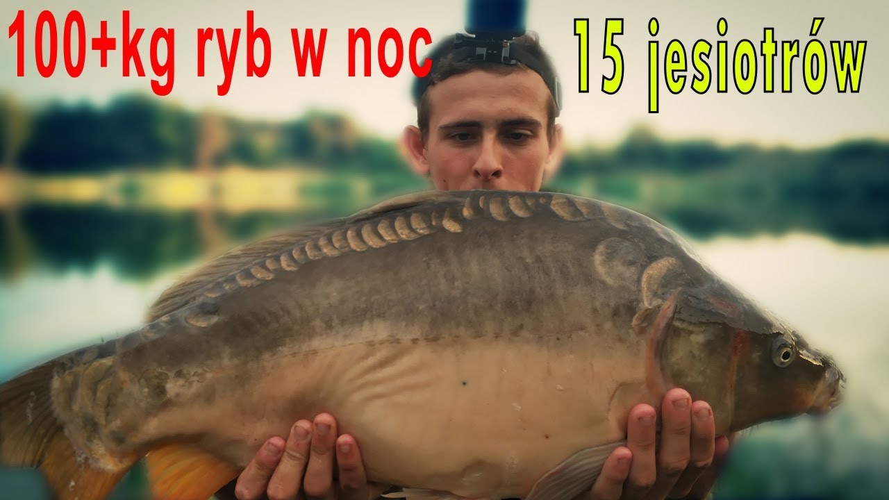 100KG RYB W NOC - Łowisko Kamień - 15 jesiotrów - wyprawa wędkarska