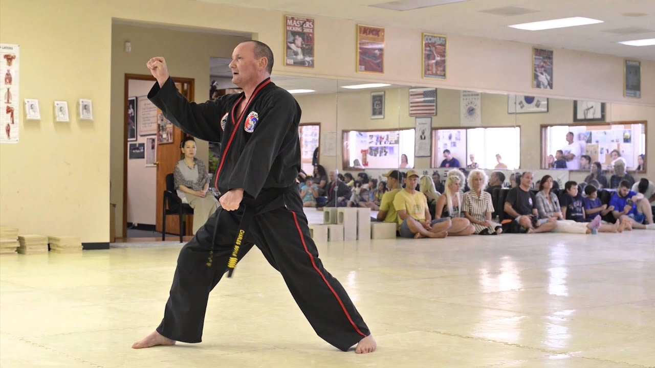 AIMAA 2015 Intl. Black Belt Testing - 04
