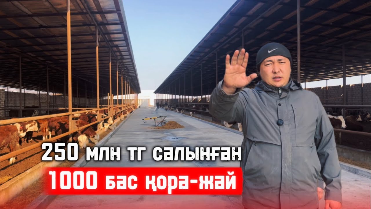 6 айда 250 млн тг ге қандай қора сала аласыз ? 🤔