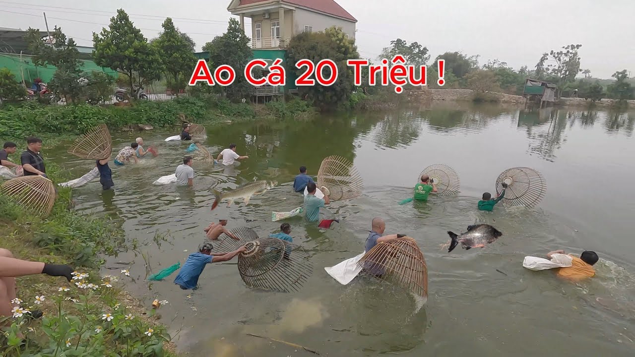 Nơm cá chim khủng nghệ an / Nơm cá hưng hugo