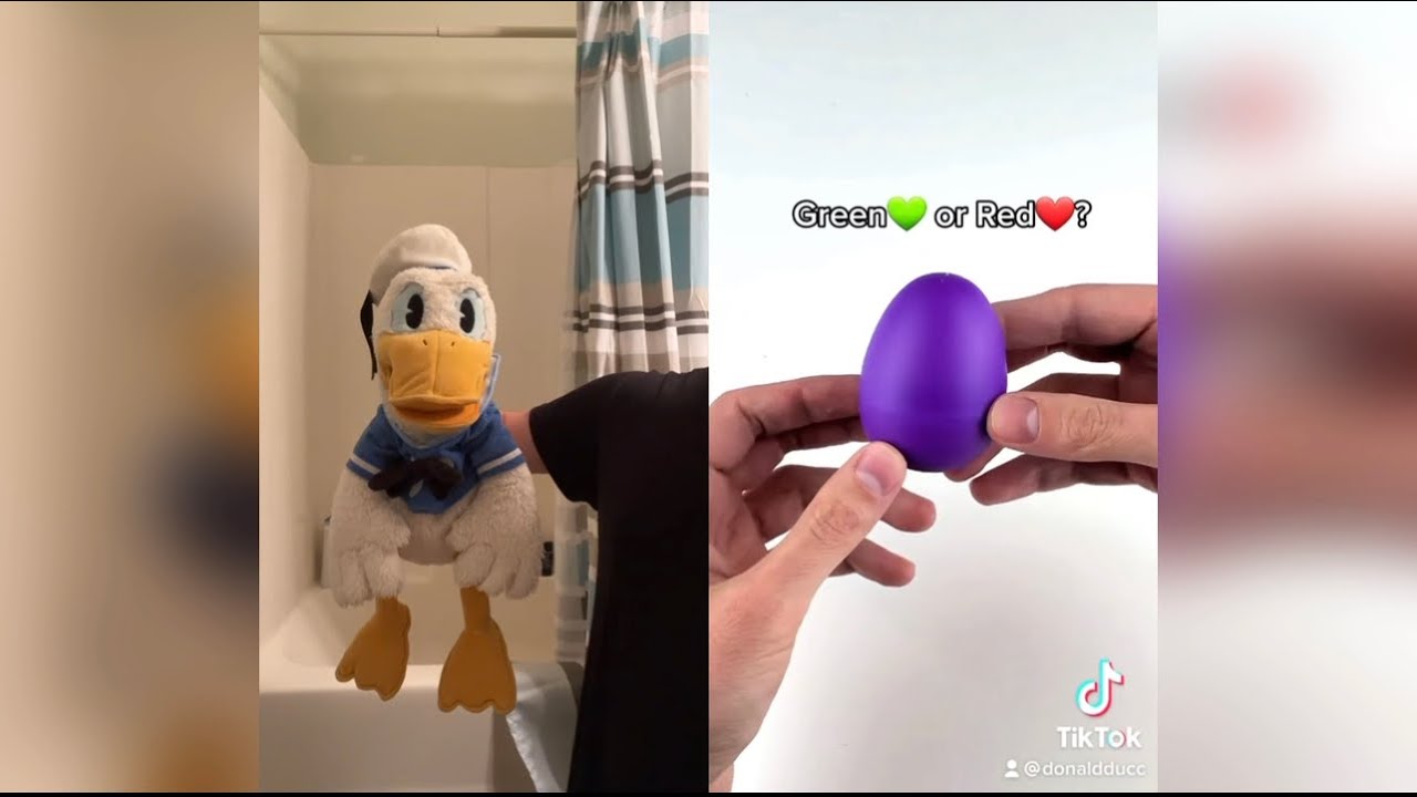 Donald Ducc Reacts To Satisfying TikToks 3 (DO NOT LAUGH OR SMILE) @DonaldDucc