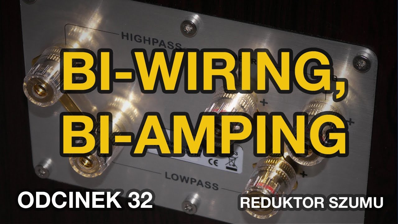 Bi-wiring, bi-amping - odc.32 [Reduktor Szumu]