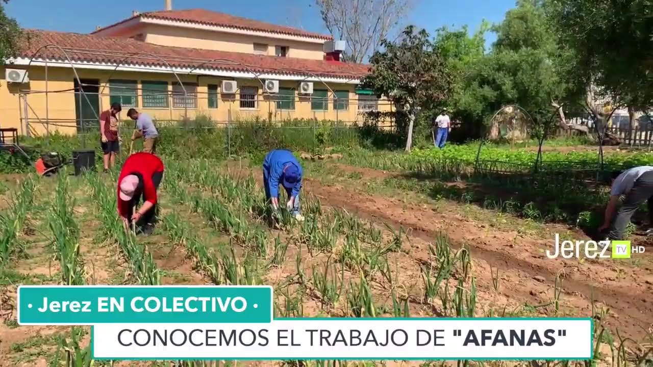 ¡QUÉ GRAN LABOR!! Jerez en Colectivo: AFANAS Conocemos el trabajo que realizan desde esta Asociac…