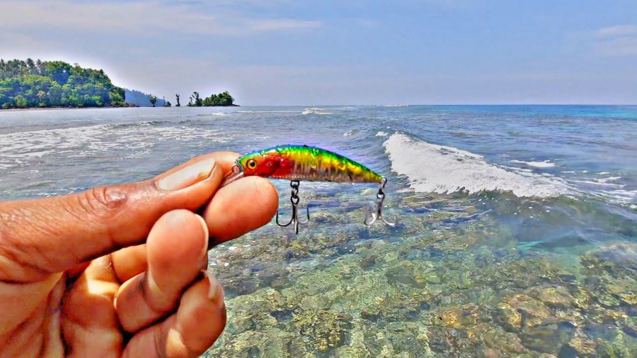 Ternyata Spot Dekat Pulau Kecil Ini Lebih Gacor || Sambarannya Selalu Bikin Kaget😱