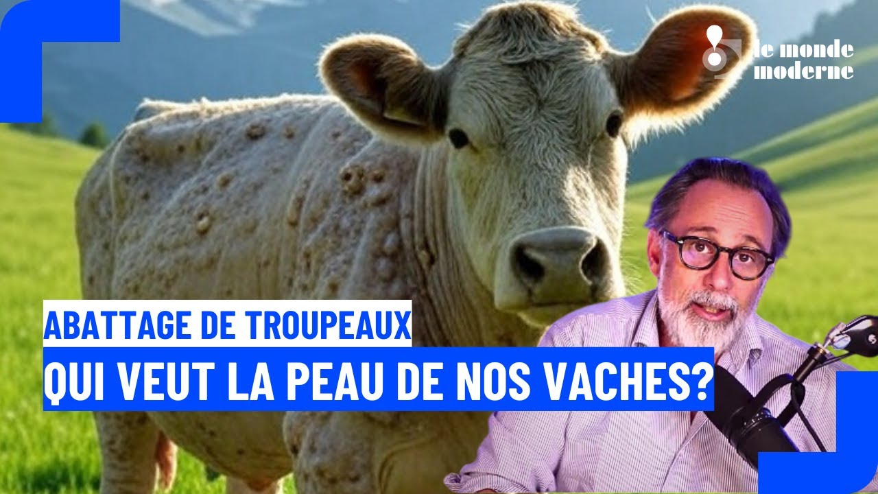 Abattage syst&eacute;matique de troupeaux bovins, c'est le r&egrave;glement europ&eacute;en !