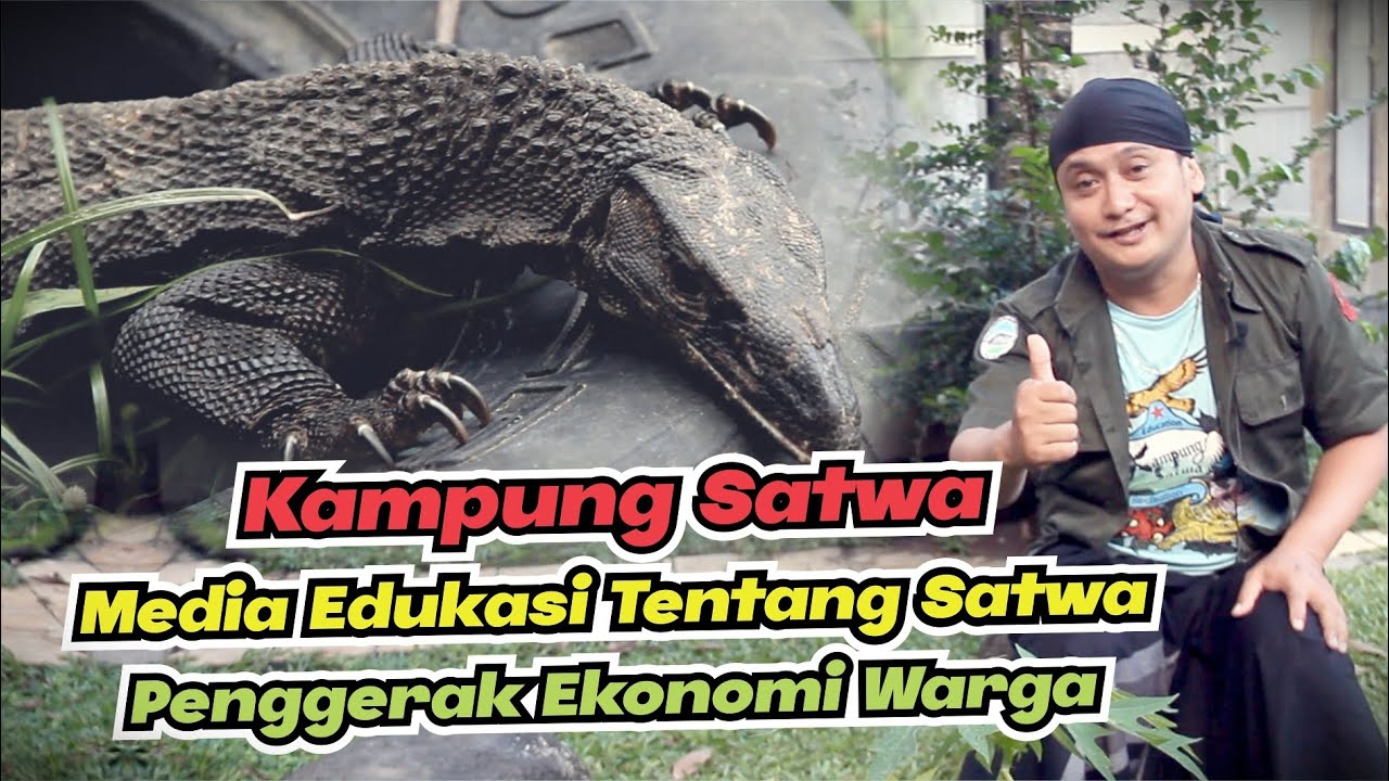 Kampung Satwa || Media Edukasi & Meningkatkan Perekonomian Masyarakat