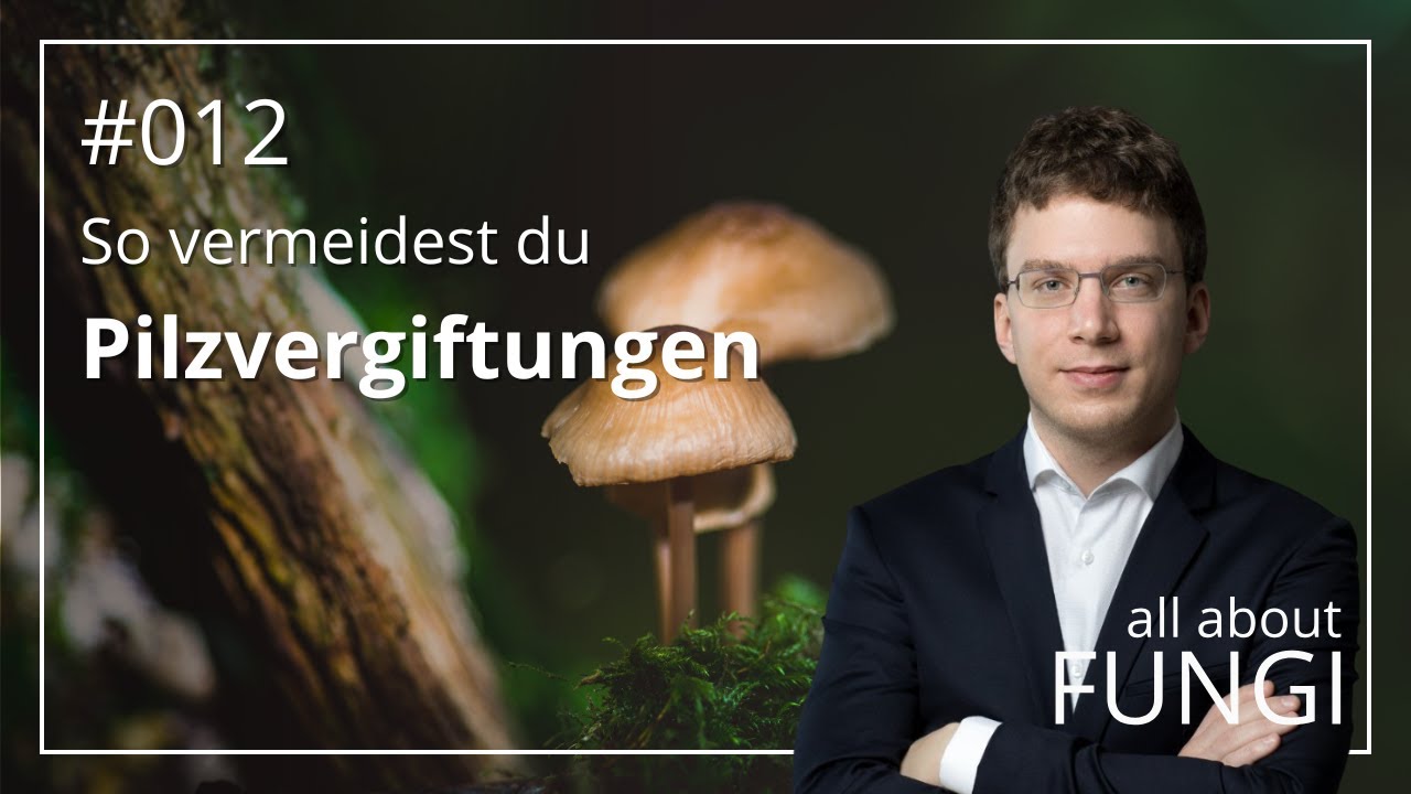 Pilzvergiftung vermeiden: Toxikologe und Arzt Dennis Regul gibt lebensrettende Tipps!