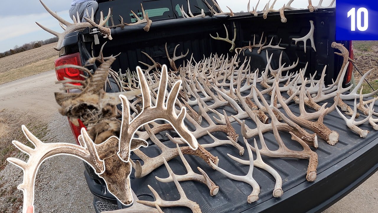 Shed Hunting 2022 Week 10 | Found HUGE BUCK, 5 Flyer SET & Drop-tine Antler