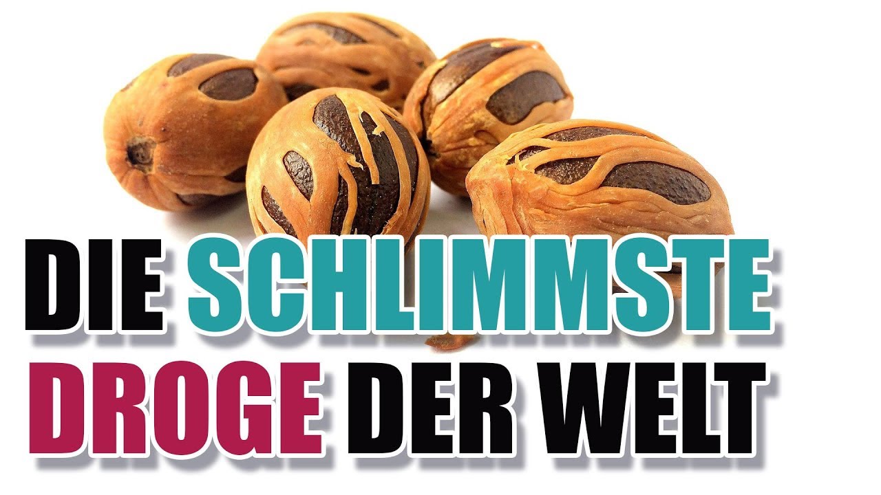 Die schlimmste DROGE der Welt? 😱 | GuteFrage.net