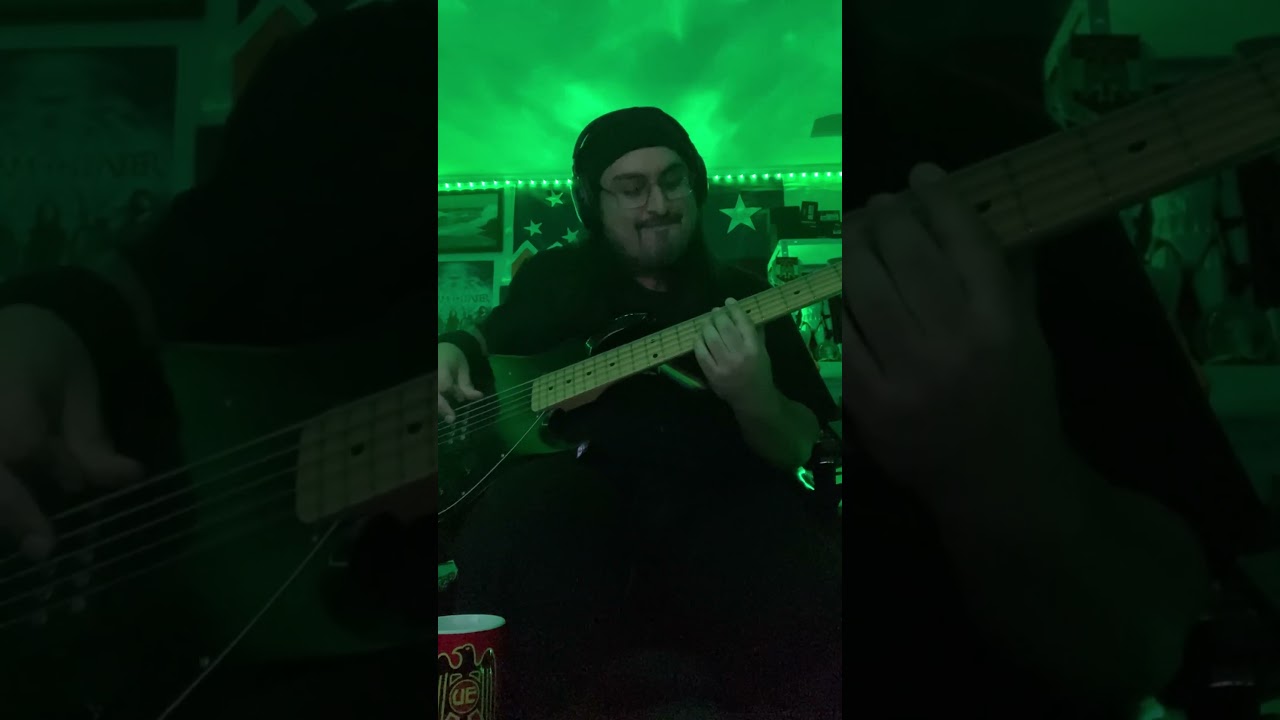 The Quest (Rhox) #prog #metal #rhox #thequest #bass