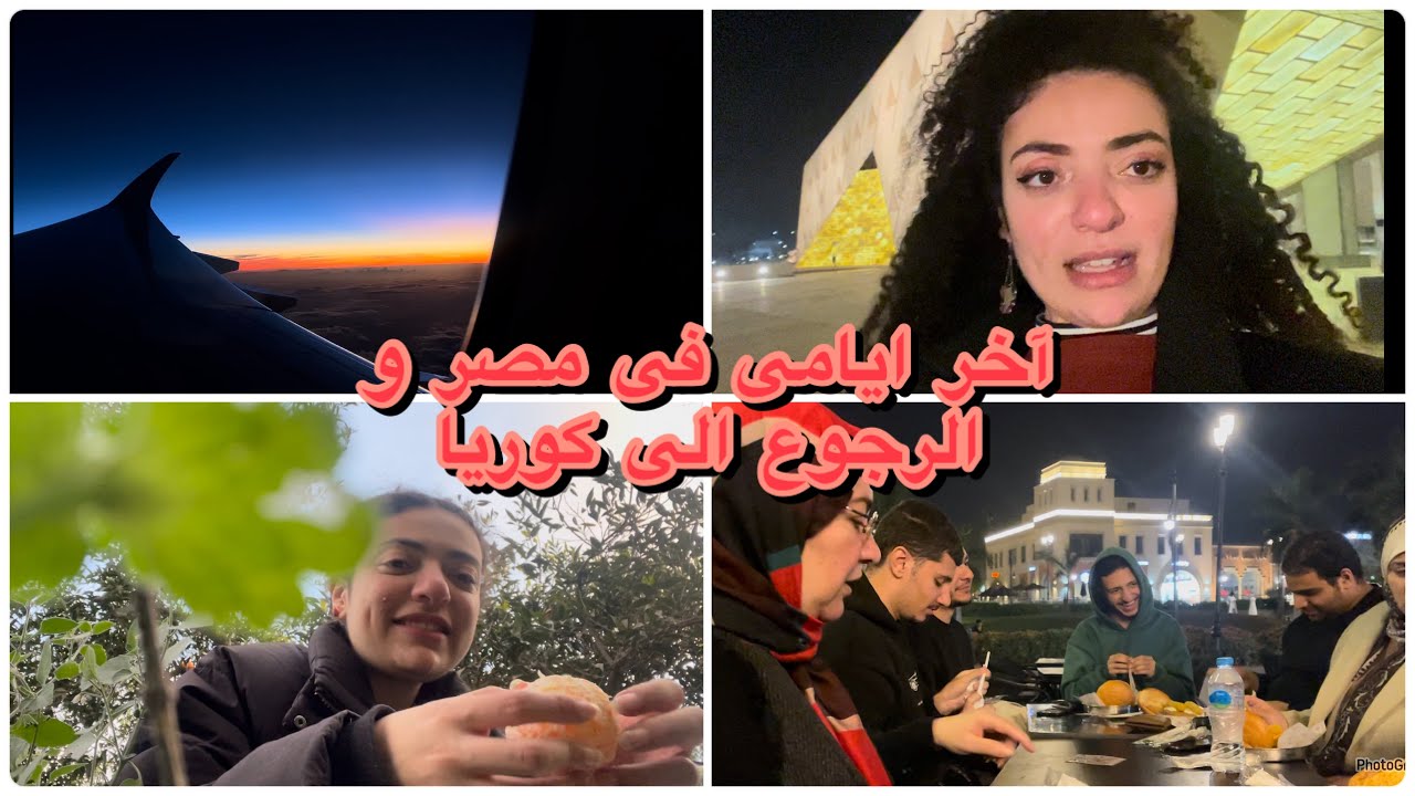 آخر ايامى فى مصر|سافرت البلد|المتحف المصرى الجديد|رجعت كوريا