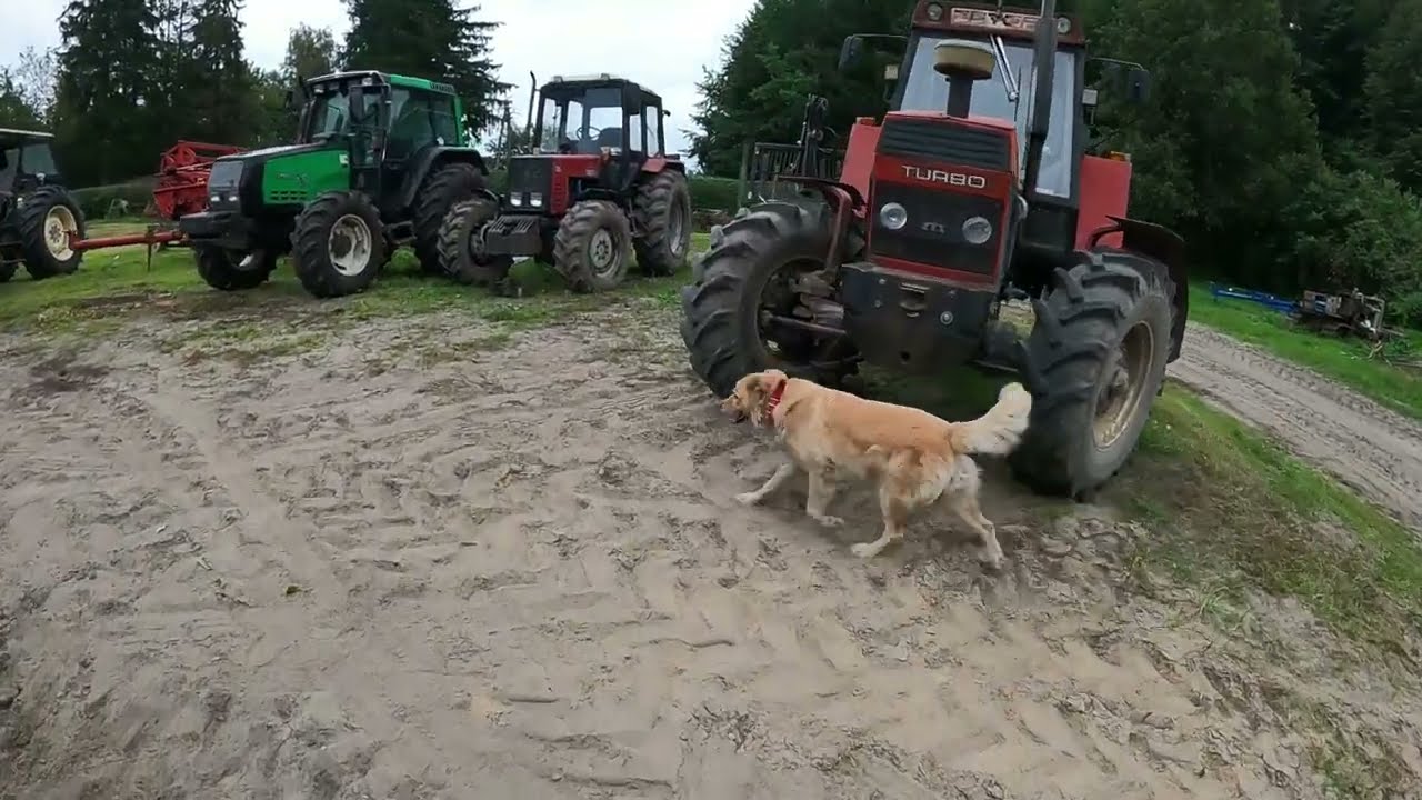 Z życia mechanika #302 ★Sekcja skrzyni biegów Zetor 16145 ★Składamy Skalmara★