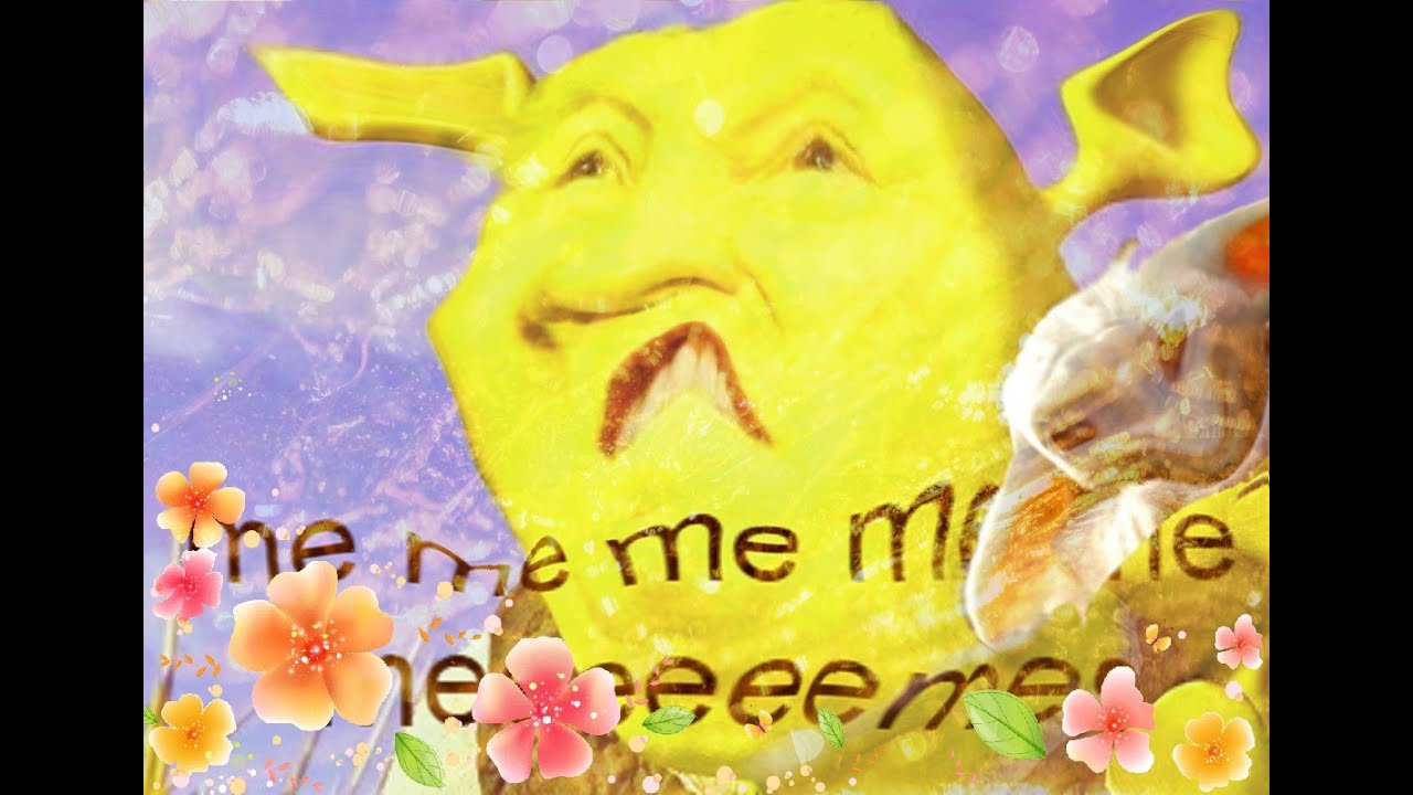 This memes I watch when I'm depressed