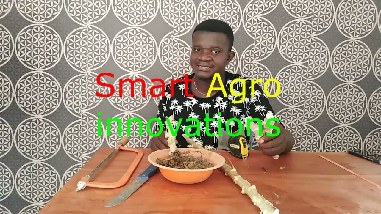 EP 4  Cassava Multiplication Using Tissue Culture