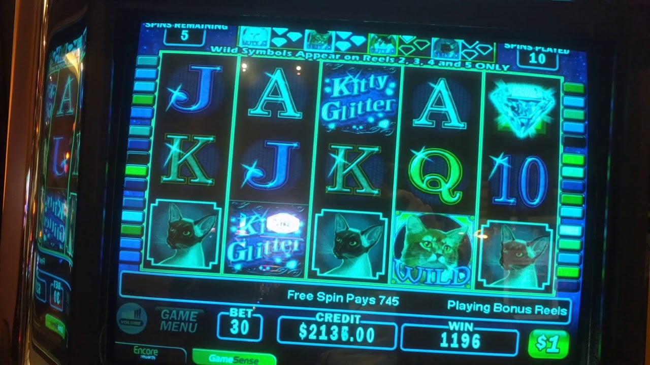 kitty litter slot $30 bet bonus