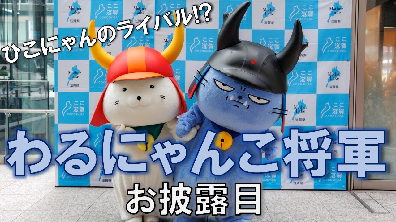 #11 ひこにゃんのライバル!?わるにゃんこ将軍登場！！
