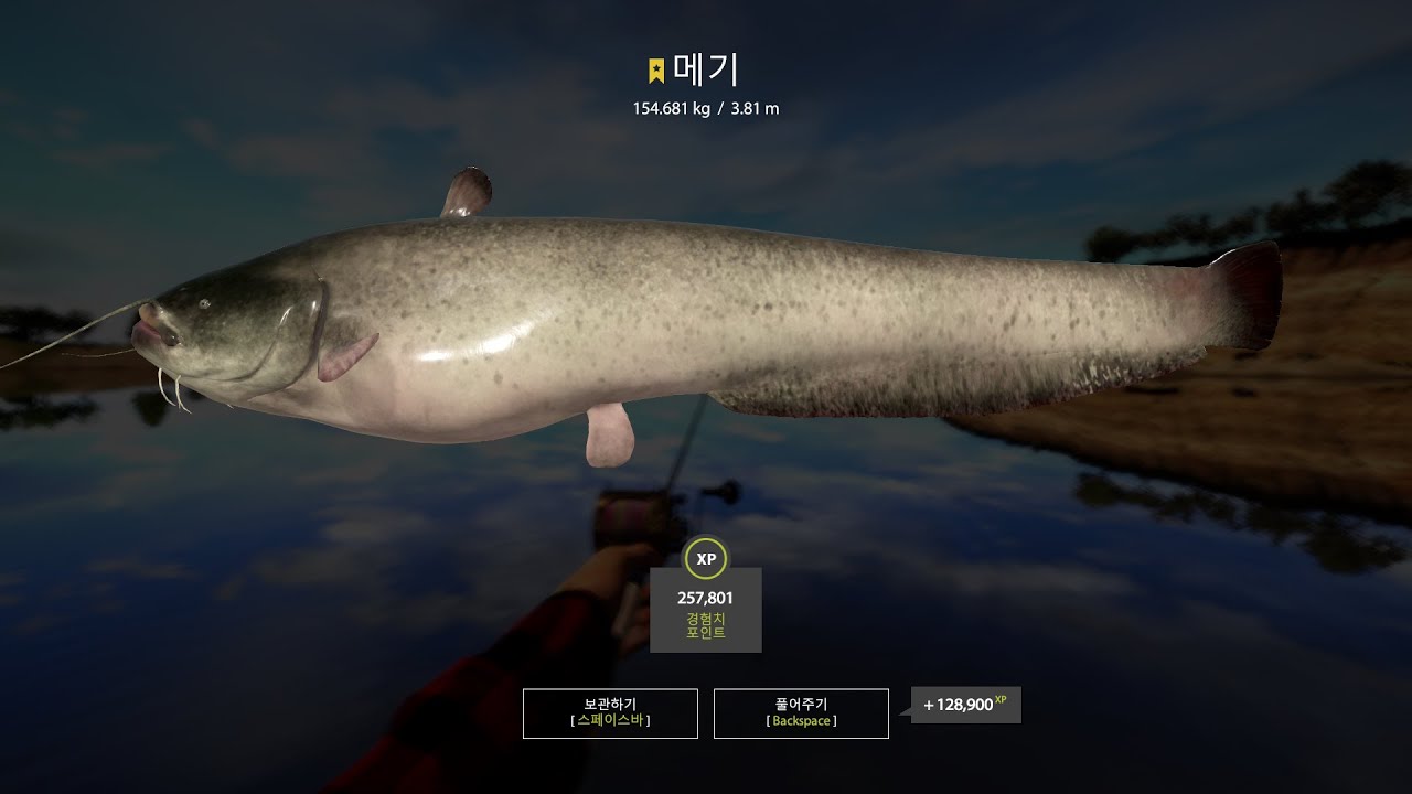 Russian Fishing 4 Trophy Catfish