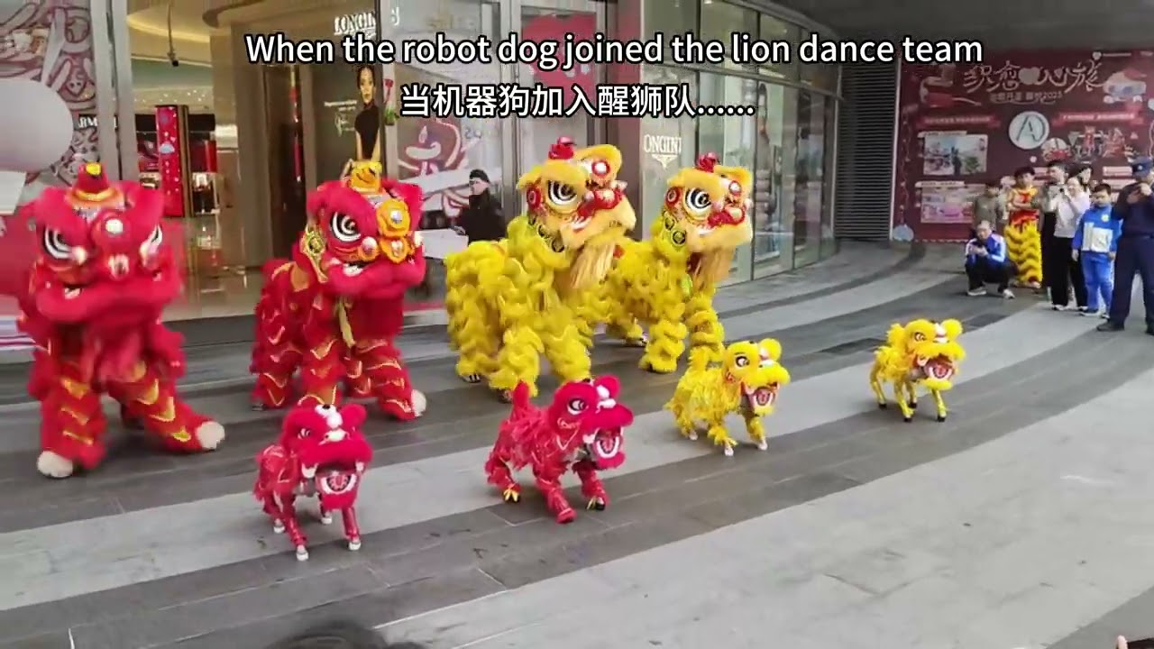 When the robot dog joined the lion dance team.....