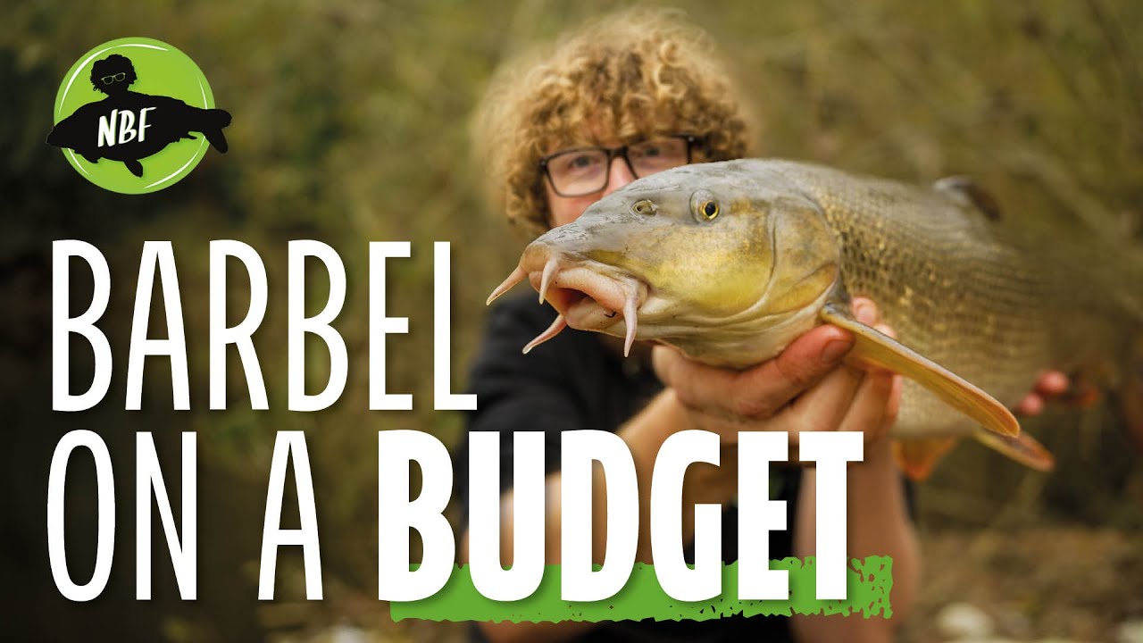 Barbel on a Budget! Fishing the River Severn Without Breaking the Bank 🎣