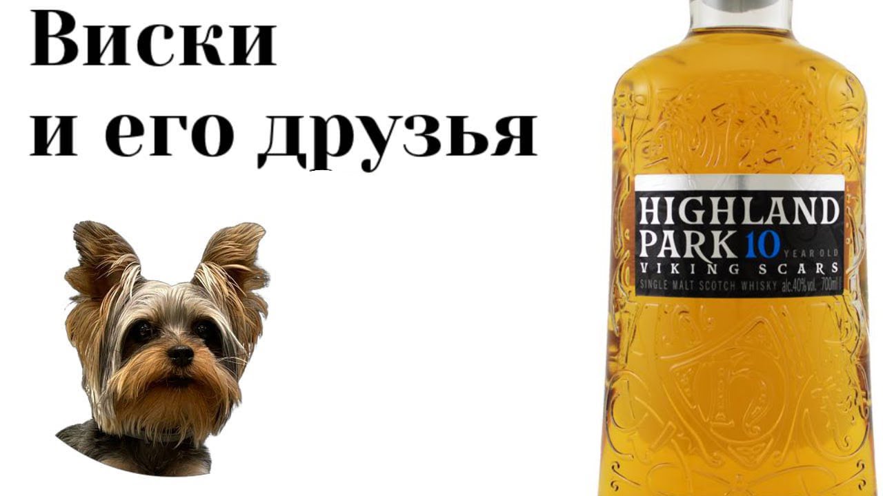 дегустация Highland Park 10 viking scars