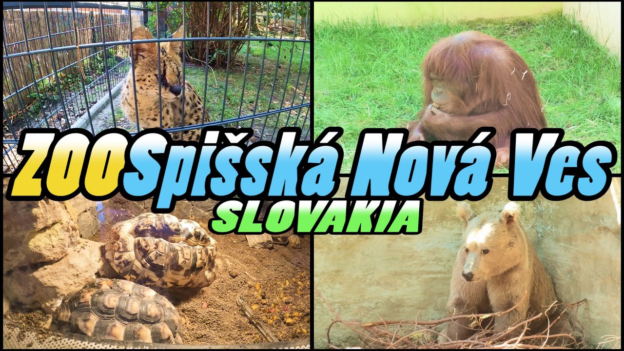 ZOO Spi&scaron;sk&aacute; Nov&aacute; Ves - Slovakia [4k]