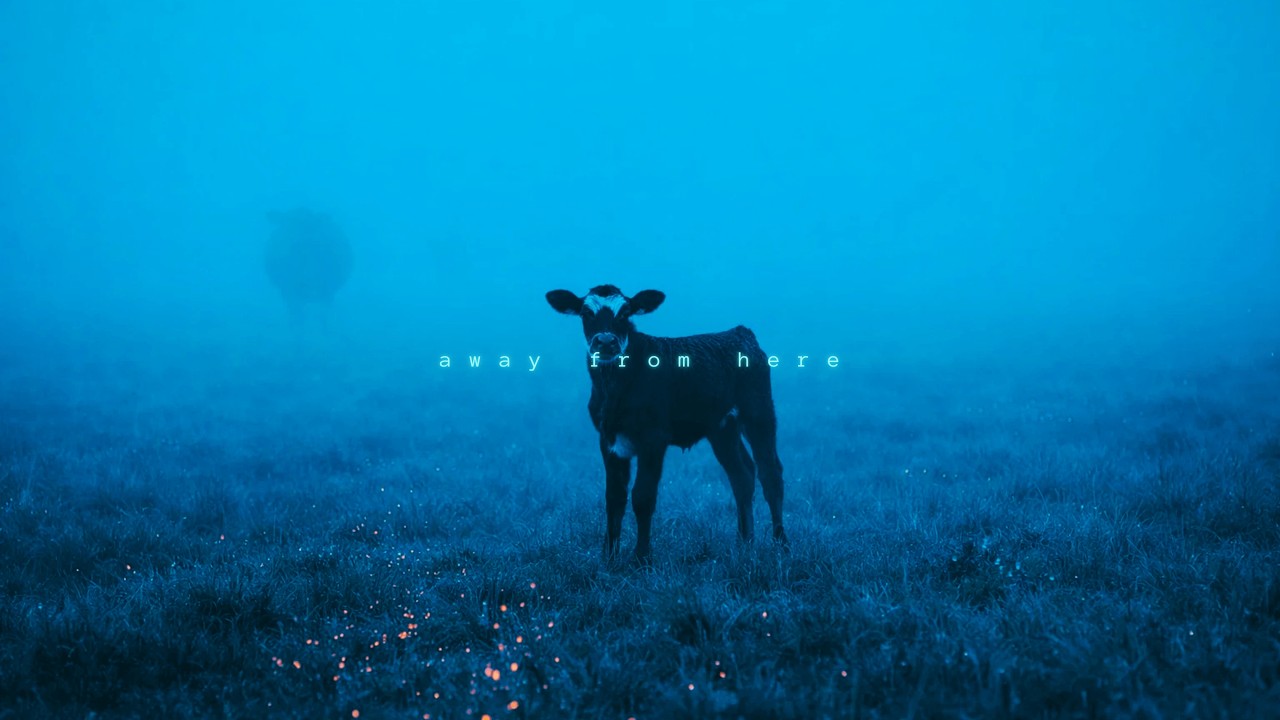quiet field signal. . .