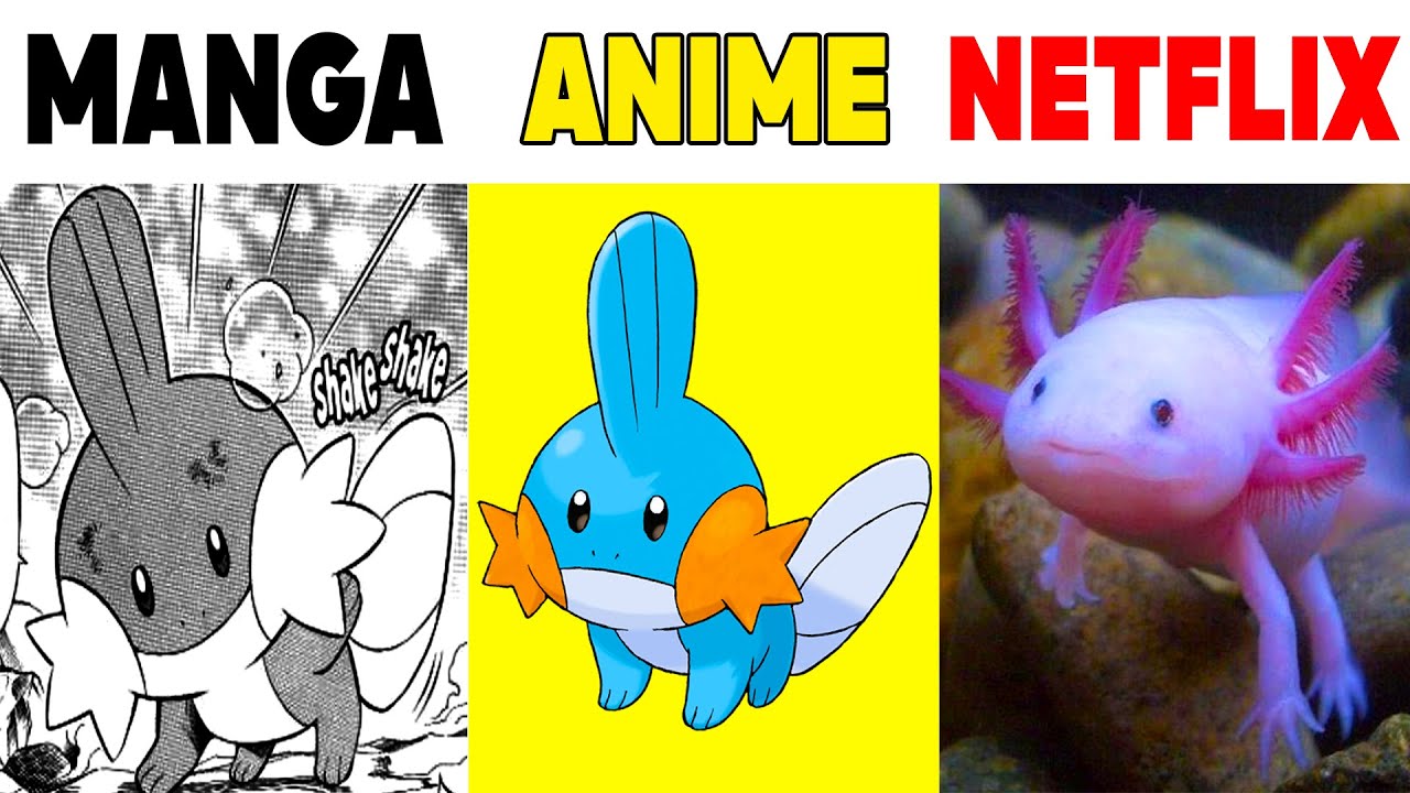 POKEMON MEMES V121 Manga Vs Anime Vs Netflix Adaptation
