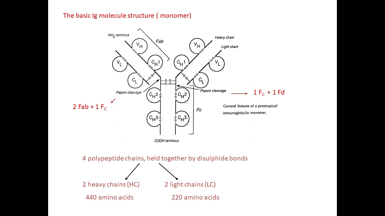 Lecture 6