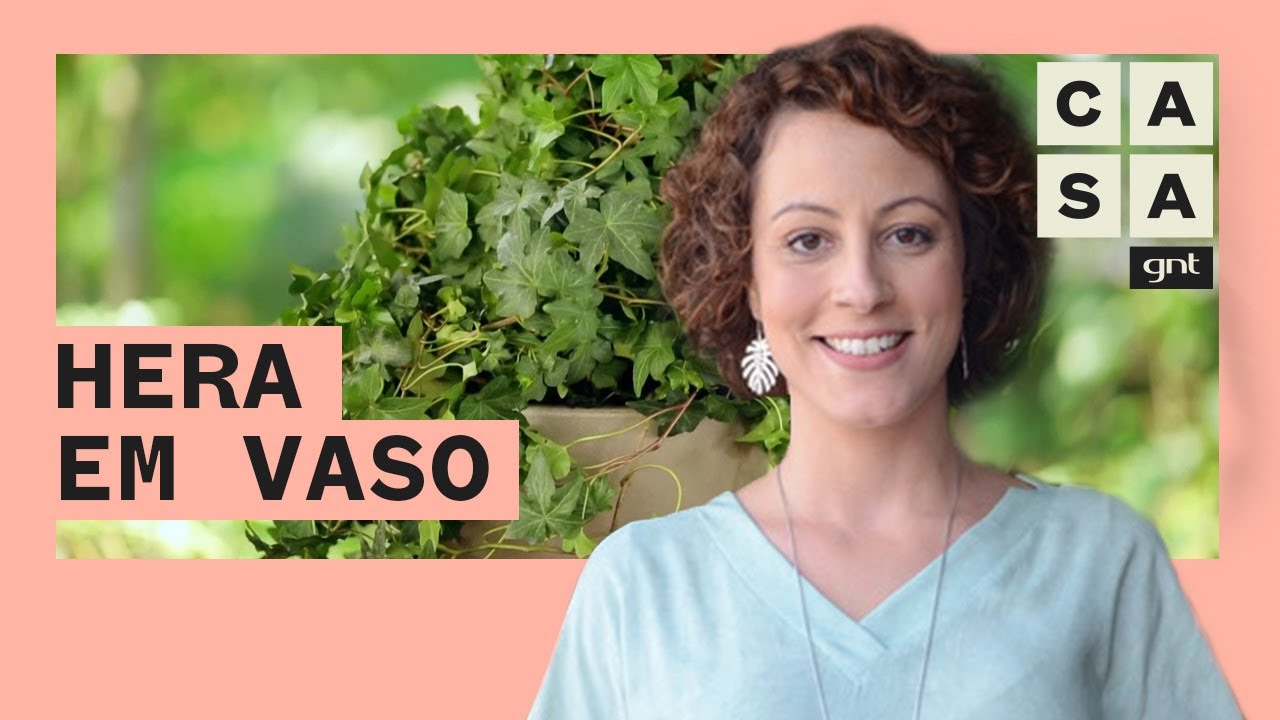 Como plantar e cuidar de uma hera em vaso grande | Jardinagem | Carol Costa