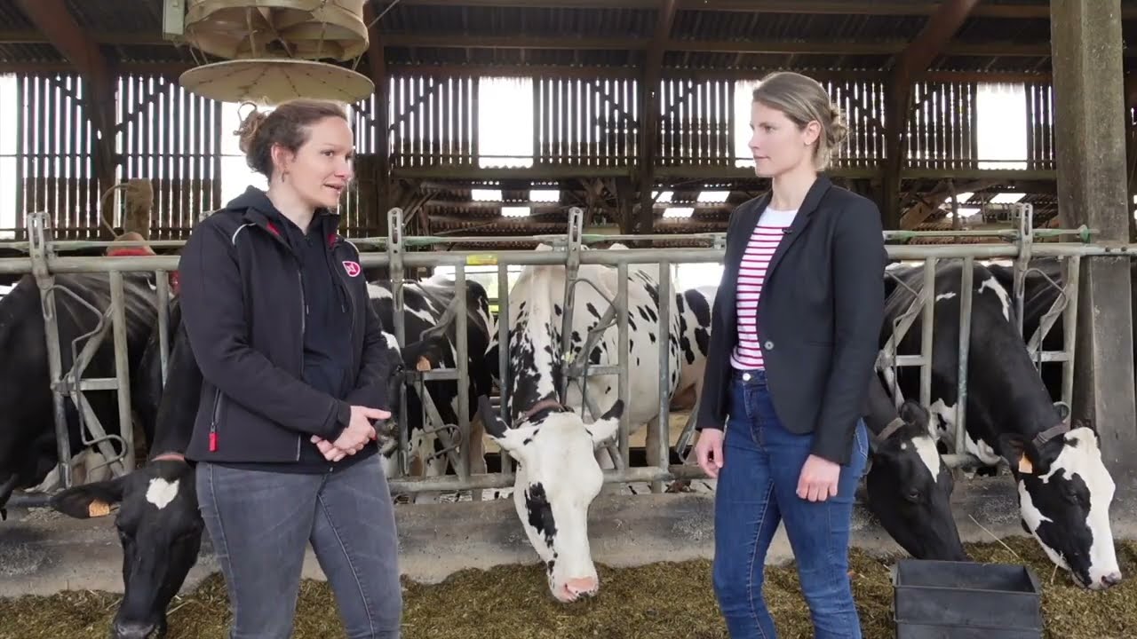 Web série Vector - Episode 2 : Comment développer le potentiel de la vache avec l'alimentation ?