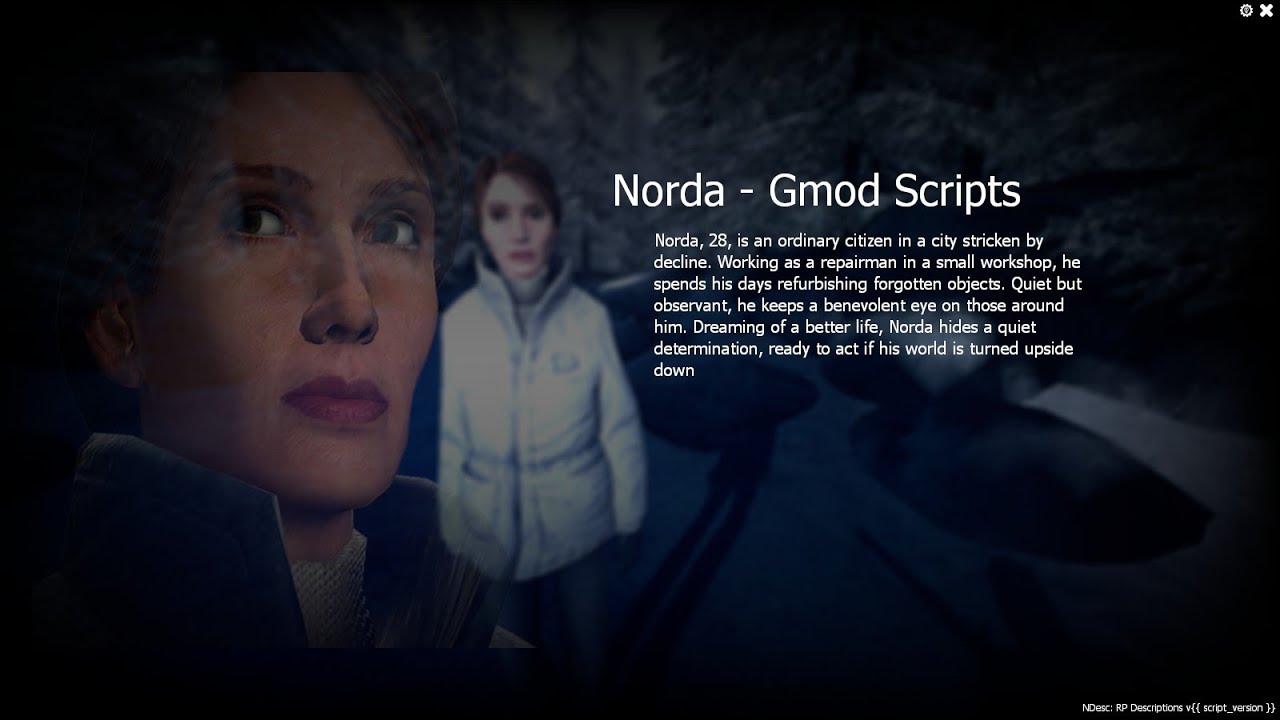 [Showcase] NDesc: RP Item & Character Descriptions | New GMod Addon 2025